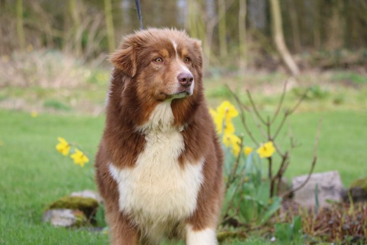 Rosalie domaine du hameau du fayel