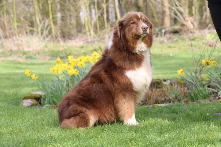 Rosalie domaine du hameau du fayel