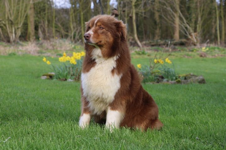 Rosalie domaine du hameau du fayel