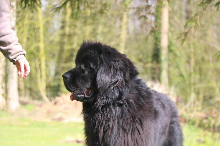 Taz domaine du hameau du fayel