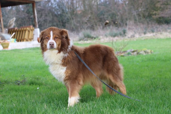 Oliver (Sans Affixe)